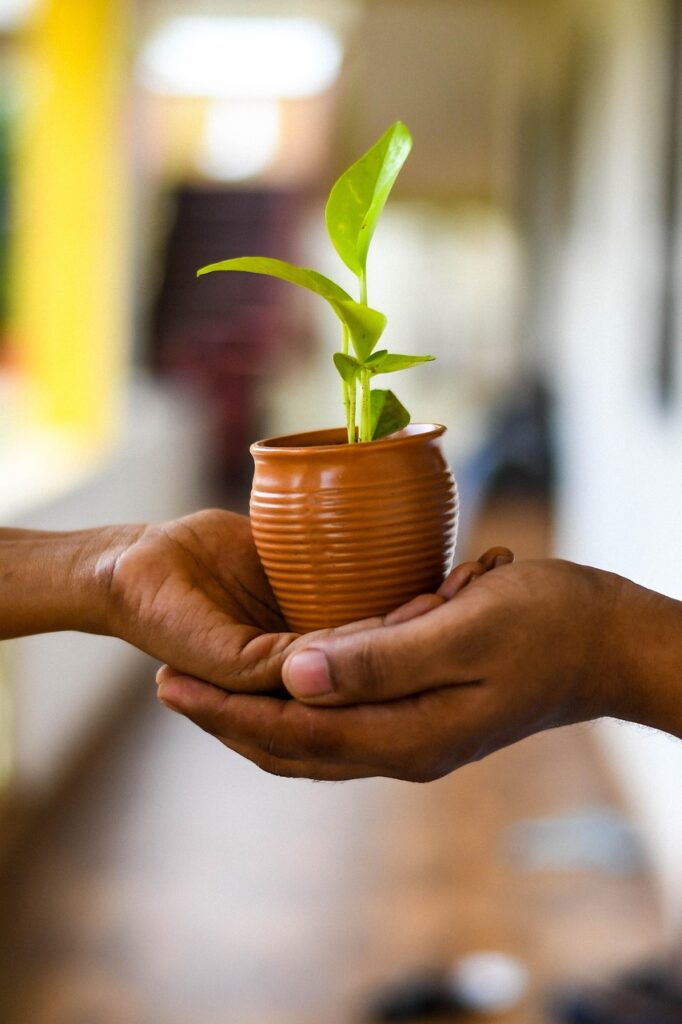 plant, hands, nature, conservation, planting, replanting, save earth, go green